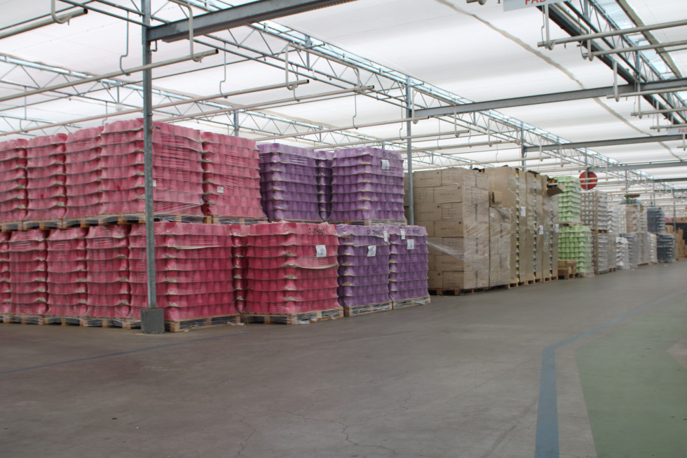 Bunnik Plants 92515