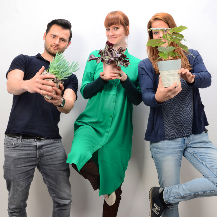 Bunnik Plants 109375