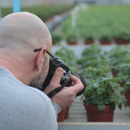 Bunnik Plants 109374