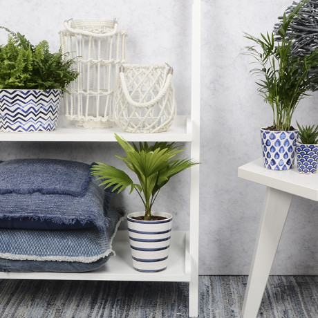 Bunnik Plants Trends 1 91618