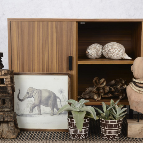 Bunnik Plants Trends 3 91618