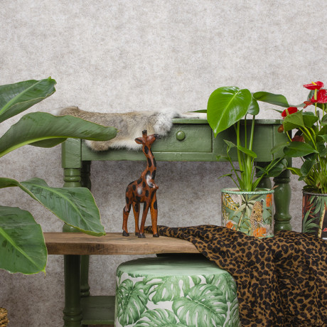 Bunnik Plants Trends 2 91619