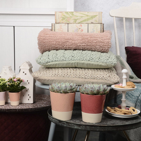 Bunnik Plants Trends 4 91618