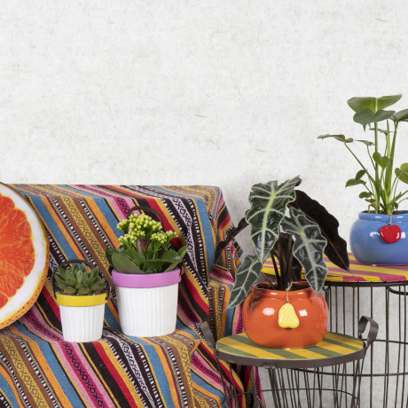 Bunnik Plants Trends 1 91620