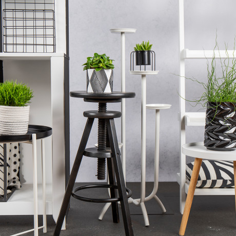 Bunnik Plants Trends 2 91621