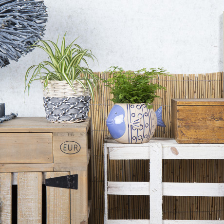 Bunnik Plants Trends 3 91620