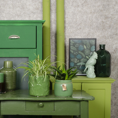 Bunnik Plants Trends 1 92905