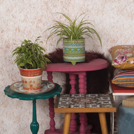 Bunnik Plants Trends 2 91616