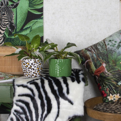 Bunnik Plants Trends 3 91616