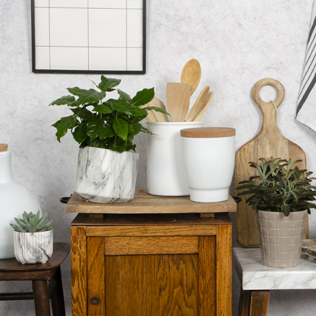 Bunnik Plants Trends 2 92905