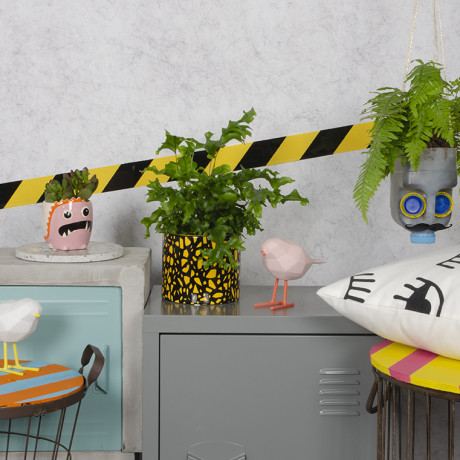 Bunnik Plants Trends 3 92905