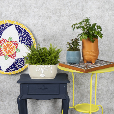 Bunnik Plants Trends 4 91620