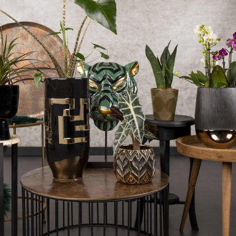 Bunnik Plants Trends 3 92830