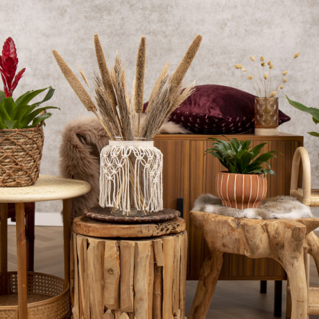 Bunnik Plants Trends 2 92830