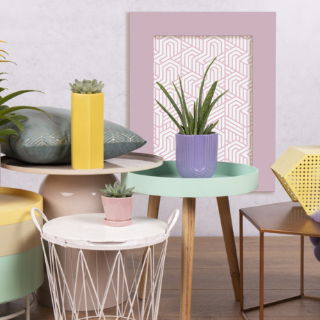 Bunnik Plants Trends 2 91623